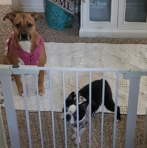 Fashion - Beauty - Confidence - Trust - Picture 6 of 10